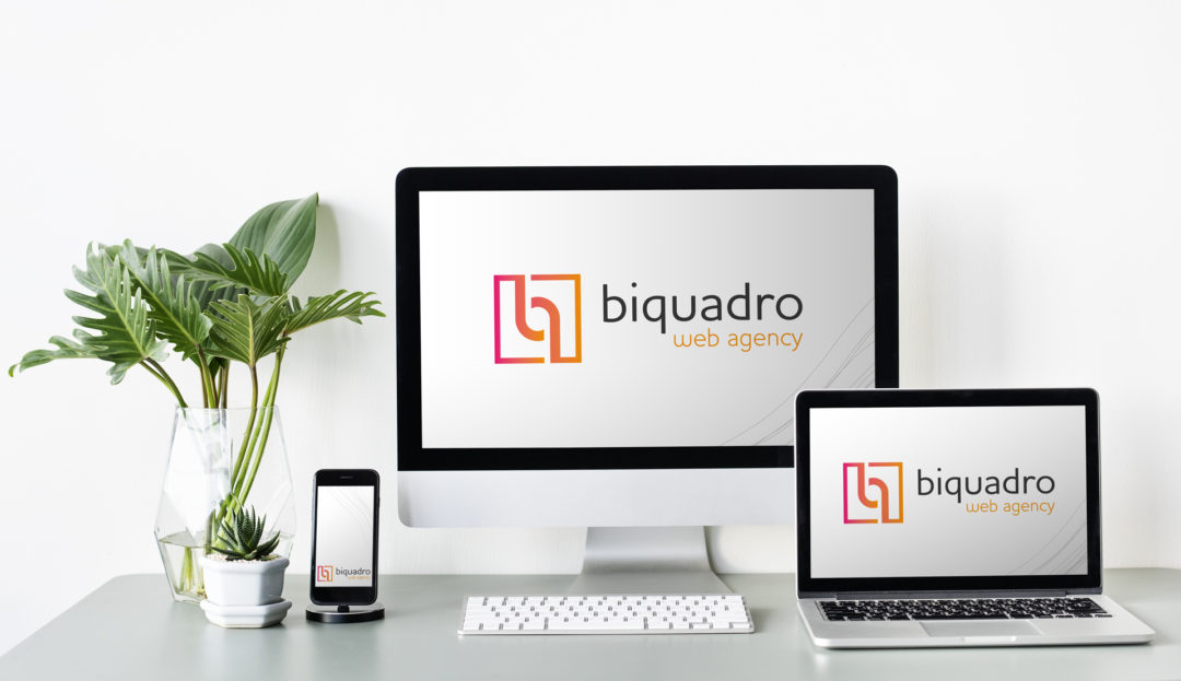 Brand idenity per Biquadro Web Agency